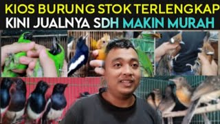 ✅ KIOS BURUNG RASA HUTAN STOK KOMPLIT HARGA SUDAH SEMAKIN MURAH DI KIOS ARIS PASAR BURUNG PRAMUKA