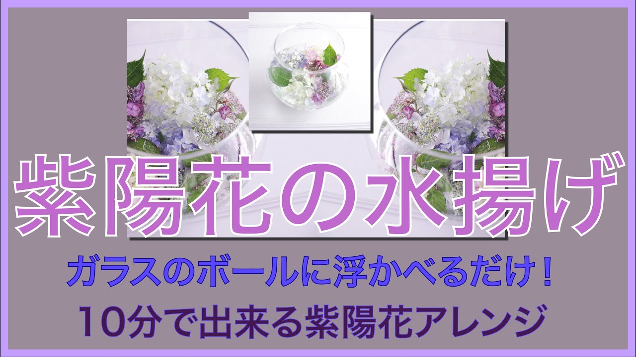 紫陽花の水揚げ 10分で出来る紫陽花アレンジ Youtube