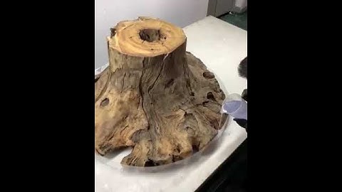 #Table #made from #tree stump #woodworking #wood #reels #shorts #video #viralshort #art #ideas #top