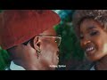 Diametar Pallet Fala Official Music Video 