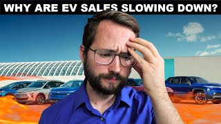 Tesla Loses Market Share And EV Sales Slow Down