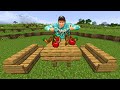 INFINITE FOOD, DUDE! - Vegan Minecraft [5]