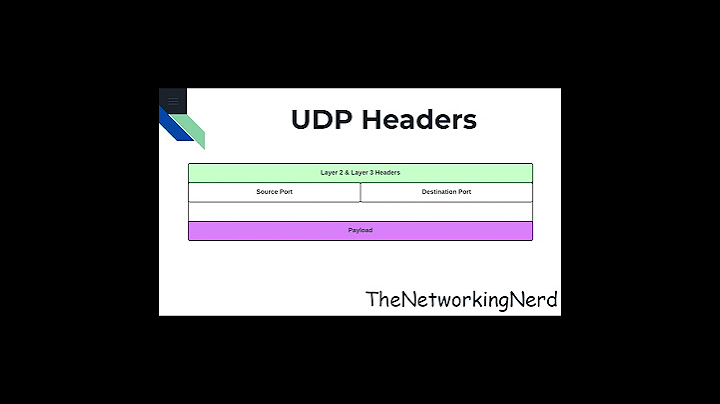 Giaá trị của length trong udp header là gì năm 2024