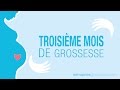 Troisime mois de grossesse  mois 3 de grossesse  la grossesse mois par mois