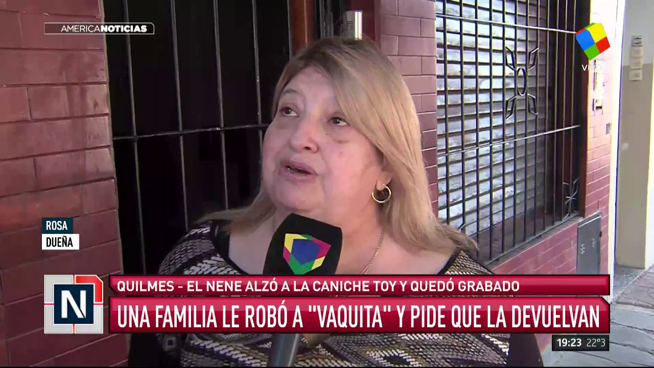 alejandro fantino padres El pedido desesperado de una mujer a la que le robaron un caniche toy