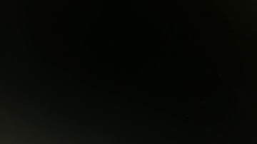 Royalty Free Natural Organic Dust Particles Floating On Black Background Stock Video Footage Clip