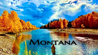 The Beautiful State Of Montana