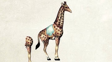 After Effects Character Rigging