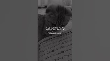 سورة لقمان - الشيخ سعد الغامدي #قرآن #قران_كريم #المصحف #اكسبلور