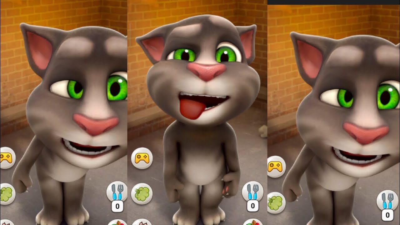 Talking Ginger 🐱 | Late Scroll Entertainment 🌙📱