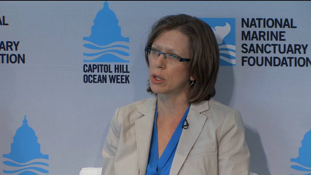 CHOW Day 3 Show 2: The Vision for Gulf Restoration