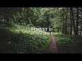 LUT FOREST II | GUÍA DE USO CORRECTO