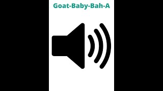 Goat-Baby-Bah-A- Sound Effect