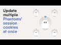 Update multiple session cookies at once