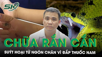 Đắp thuốc nam chữa rắn cắn, nam sinh suýt hoại tử ngón chân, chuyên gia chia sẻ cách sơ cứu đúng