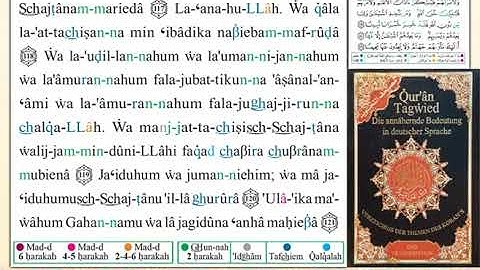 ختمة من مصحف التجويد باللغة الألمانية الصفحة رقم 97