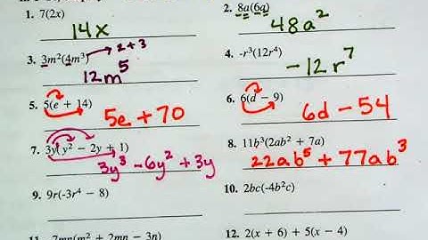 Polynomials practice video