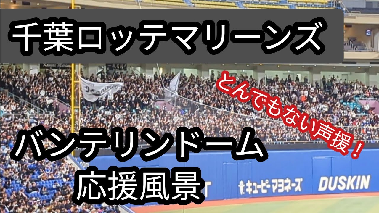 【バンテリンドームに響き渡る声援】千葉ロッテマリーンズバンテリンドーム応援風景[2024年3月22日]