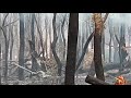 Опять пожары в нашей Австралийской Балашихе, но уже в нашу пользу