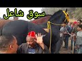 سوق الثلاثاء الخميسات بدريس جاب الزين والترابي 