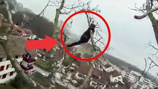 Cat Hangs From Tree 30 Meters High and Meows for Help...
