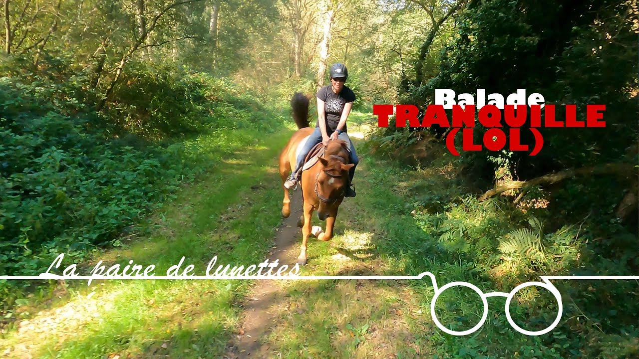 Une petite balade TRANQUILLE ? YouTube