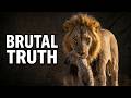 Wild savannah | Lions vs Hyenas: The Deadliest War in the Serengeti! | Nature Animal documentary