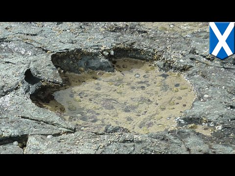 Video: Jejak Kaki Dinosaurus Raksasa Ditemukan Di Skotlandia - Pandangan Alternatif