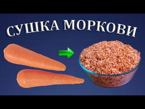 Как высушить морковь в сушилке