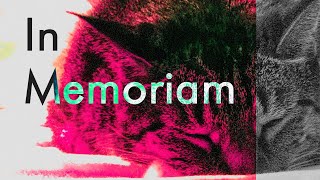 Celebrity Ethics of Pet Euthanasia Wealth