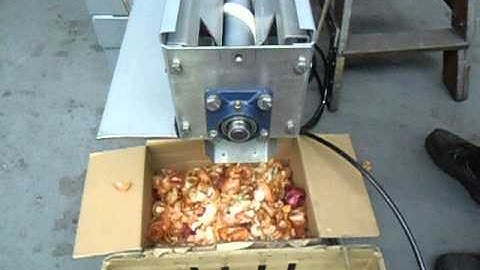 Small Onion Peeler/Shallot Peeler trials 18mm to 55mm!