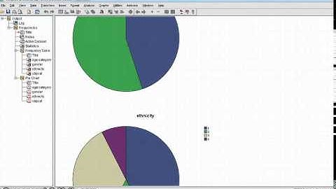 descriptive statistics for categorical variables SPSS