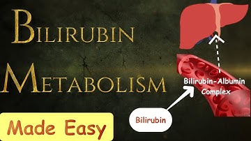 Bilirubin metabolism-  MADE SIMPLE