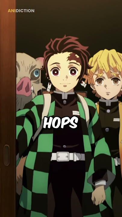 Second Nezuko In Demon Slayer That You Probably Didn't Know About!