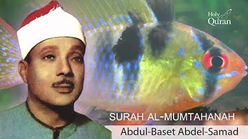 Surah  Al-Mumtahanah . Abdul Basset Abdul Samad - سورة الممتحنة