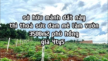 đất vườn đẹp thế này bán đi thì tiếc lém , quãng thành châu đức bà rịa vũng tàu giá rẻ đầu tư