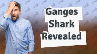 What is the rarest living shark?