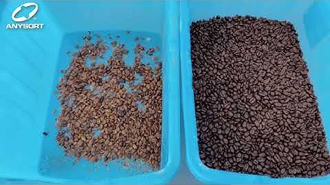 Anysort Color Sorter for Roasted Coffee Beans