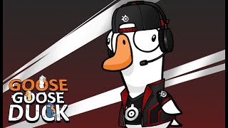 Goose Goose Duck Ути кус кус кус