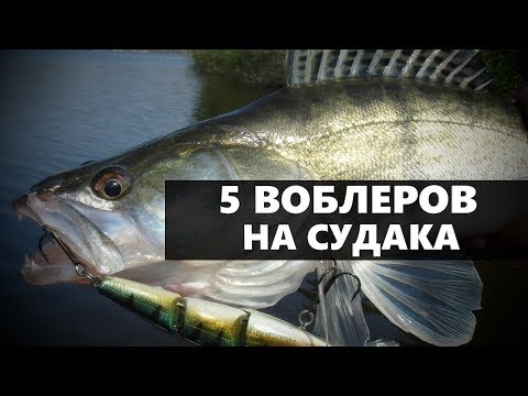 5 ЛУЧШИХ ВОБЛЕРОВ ДЛЯ РЫБАЛКИ НА СУДАКА