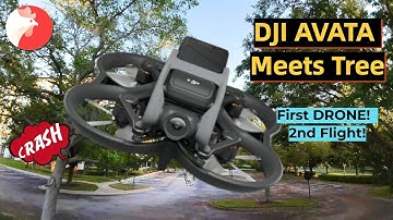 DJI Avata Adventure: My Second Flight & First Crash Into a Tree!
