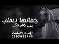 افخم شيلة جمالها يسلب اذهلن البشر 2023 أداء صوت الفخامه متعب الخيل 