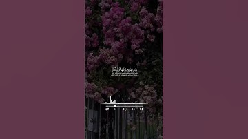 القارئ اسلام صبحي سورة فصلت #اكسبلور #القران