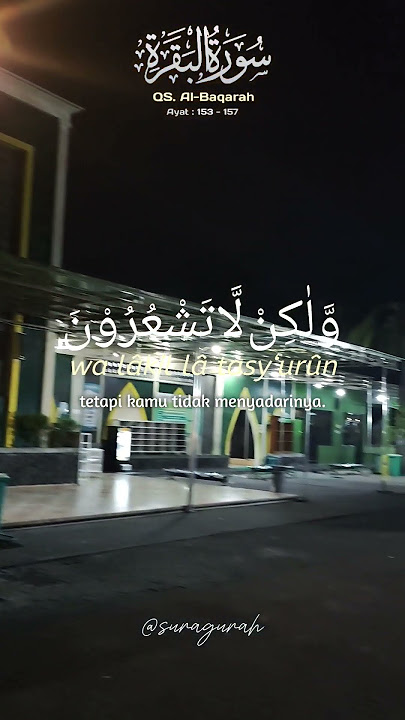 Surah Al-Baqarah : 153 - 157 | Murottal | Mishary Rashid Al'afasy