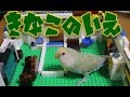 ちゃんとした家が欲しいんだけど・・・