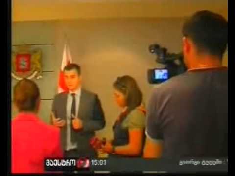 2011 06 11 ჰოსპიტალური სექტორის აუდიტი1