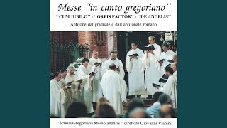 Missa cum jubilo - Agnus Dei