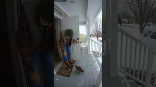 Winter Porch Visit: Grandpa Feeds a Duck Family | Home CCTV