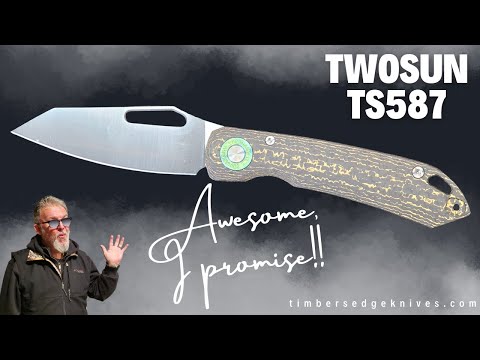 Twosun TS587