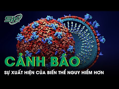 Cảnh Báo Sự Xuất Hiện Của Biến Chủng Nguy Hiểm Hơn Omicron